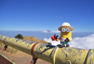探索高峰，智能同行—揭秘登山机器人品牌新纪元