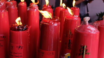 白酒中国，品牌繁多，文化深厚