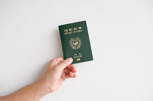 韩国智能手机品牌的全球影响力分析