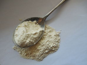 辅食不粘锅铲子推荐品牌，新手爸妈的必备指南