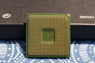 电脑CPU性价比高的品牌解析