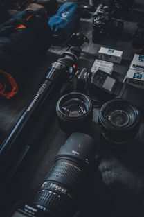 电子品牌相机，探索现代摄影的艺术与科技的融合