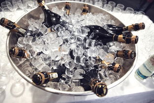 海南红酒冰箱品牌大盘点，冰镇佳酿，尽在掌握！