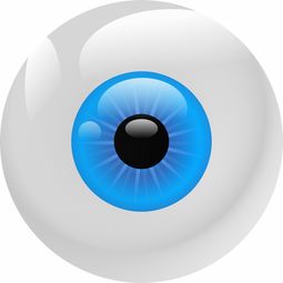 眼球生物测量仪品牌榜单解析