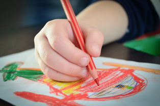 幼儿用的小铲子品牌大盘点