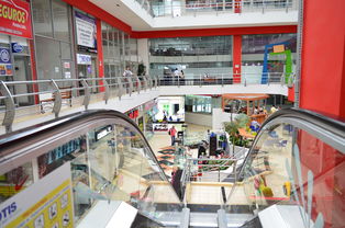 山东易清洁超市瓷砖品牌介绍