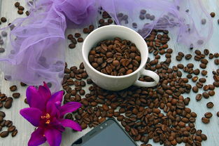 盘点那些让你喝茶时心情愉悦的水杯品牌