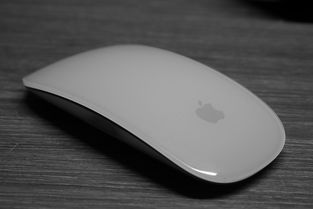 中键鼠标哪个品牌好？盘点几款热门品牌及选购技巧
