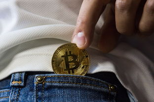 盘点那些让你爱不释手的时尚鼠标摆件品牌推荐