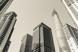 上海墙面壁纸品牌大解析，选购攻略与实用案例分享