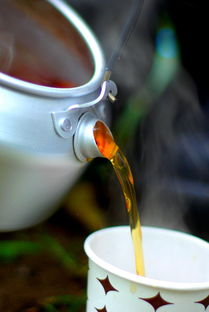 轻松上手，水杯品牌安装教程大揭秘！