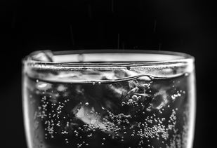 西餐酒水推荐—品味红酒的绝佳伴侣