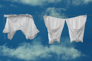 趣内衣服装情品牌—让内衣成为生活中的趣味点缀