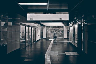 大友地板，品牌介绍与市场表现