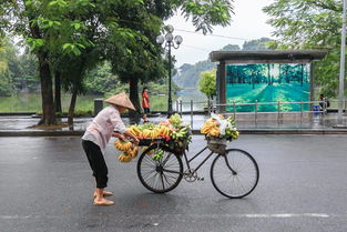 复古自行车童车品牌大盘点，那些年我们追过的经典童车