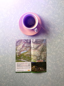 揭秘水杯旅游专用水杯品牌，你的旅行好伴侣！