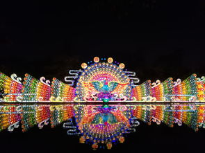 中餐厅火烈鸟品牌重塑之旅