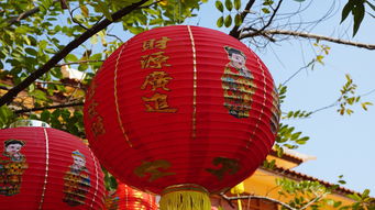 中国灯具品牌推荐