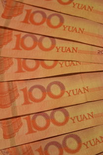 中国10大品牌板材