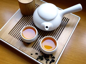 中国扫地机器人十大品牌排行榜