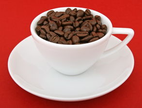 长春地铁上的奶茶品牌大解析