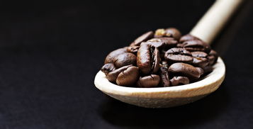 最好喝的五元奶茶品牌大解密，口感、品质与性价比的完美结合