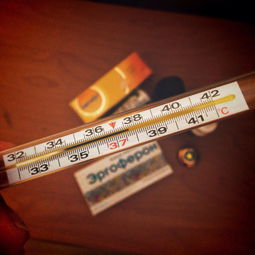 揭秘十大毒卫生纸品牌，健康警钟长鸣