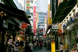 大兴区品牌厨具市场概览