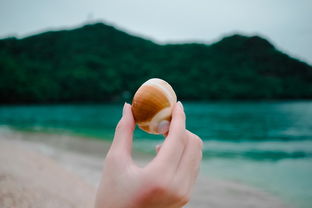 全女性品牌卫生巾，呵护女性健康，关爱女性生活