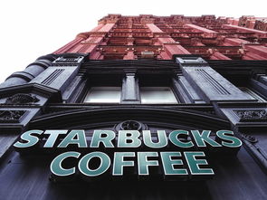 外国好喝的奶茶店品牌大盘点