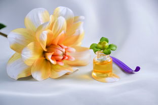 植物洗面奶品牌盘点，绿色护肤，美丽从脸开始