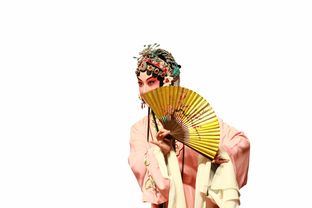 汉服围脖品牌，传统与时尚的完美融合