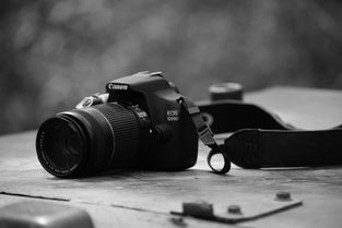 Canon相机品牌深度解析