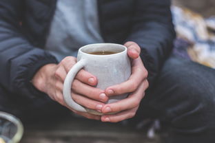 红茶最好的茶叶品牌大盘点