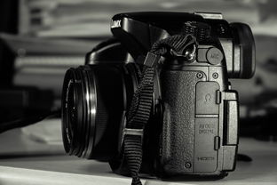 Lumix品牌相机，品质卓越，功能强大的摄影利器