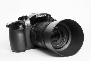 Lumix品牌相机，品质卓越，功能强大的摄影利器