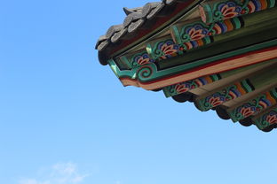 韩国团徽旗袍品牌，传统与现代的融合