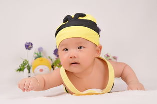 澳洲宝宝奶嘴品牌排行榜大揭秘，选购最佳奶嘴，守护宝宝成长之路