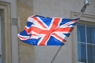 修补墙面英国进口品牌解析，品质之选与实用之道