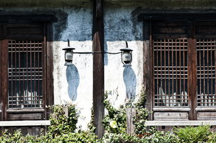 阆中古建门窗品牌店，传承与创新的融合