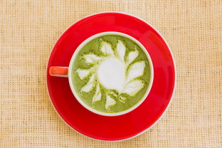 百元炒菜铲子品牌大盘点，热门选择及案例解析