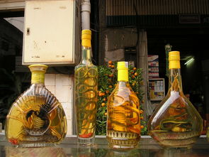 品牌折扣白酒，品质与价值并重之选