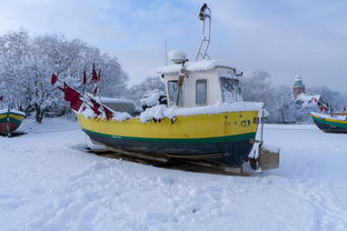 美国自制除雪机器人品牌，冬日里的雪中送炭