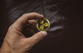 金属风来袭！盘点那些让你爱不释手的金属风格鼠标品牌