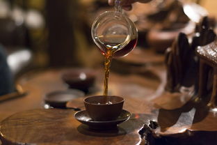 海口毛峰茶，茶叶品牌的独特魅力与传承价值