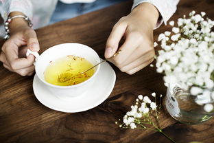 海口毛峰茶，茶叶品牌的独特魅力与传承价值