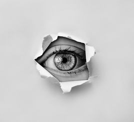 一窥各种品牌电脑监控画面，揭秘现代办公的透明世界