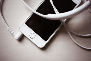 iPhone 7 Plus耳机品牌深度解析
