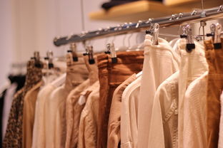 女士品牌短袖西服，时尚、专业与品质的完美融合