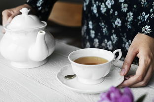 茶叶品牌自己喝，品质生活我主张